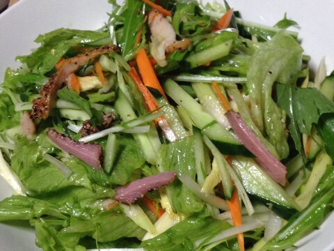 野菜たっぷり♪パストラミde生野菜サラダ♪
